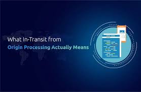 100% Pure Processing